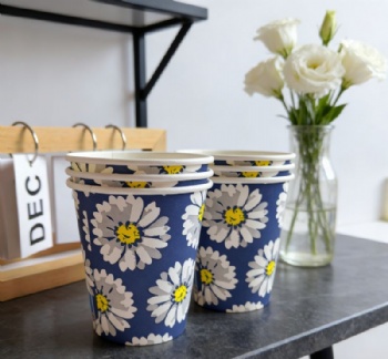 Biodegradable Custom Printed Single Wall  Paper Cup Take Away Disposable Personalized Paper Coffee Cups