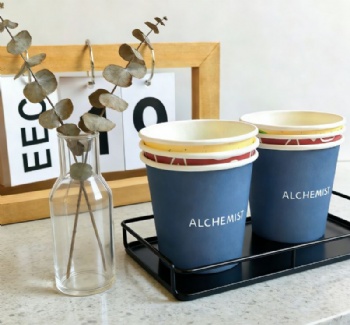 Single Wall Customization PE Coated Disposable Paper Cups