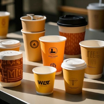 Single Wall PE Coated Disposable Paper Cups